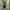 Vintage Casual dress Wanita green photo 3