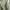Vintage Casual dress Wanita green photo 4