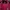 Columbia Casual Windbreaker Pria white pink black photo 3