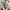 Vintage watch / jam tangan vintage photo 4