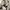 Vintage watch / jam tangan vintage photo 3