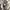 Vintage watch / jam tangan vintage photo 1