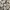 Vintage watch / jam tangan vintage photo 1