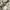 Vintage watch / jam tangan vintage photo 4