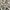 Vintage watch / jam tangan vintage photo 2