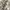 Vintage watch / jam tangan vintage photo 3