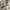 Vintage watch / jam tangan vintage photo 1