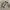 KEDSXRIFLE PAPER COMPANY photo 2