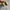 KEDSXRIFLE PAPER COMPANY photo 7
