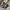 KEDSXRIFLE PAPER COMPANY photo 5