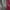 Luxury Minimalist Pria multicolor photo 3