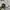 Columbia Sportswear Short Pria cream photo 7