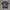 Poison Tribe 1312 Size L  photo 1