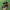 Sepatu futsal anak bahan kulit  photo 1
