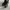 VIVAIA FUR BOOTS photo 4