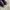 VIVAIA FUR BOOTS photo 6