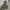 Timberland Outdoor Military Jacket photo 1