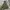 Timberland Outdoor Military Jacket