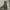 Timberland Outdoor Military Jacket photo 2