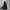 Penfield Outdoor Gorpcore Jacket