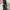 Nine West Real Leather Tote Bag photo 3
