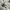 Gucci Luxury Short Pria white khaki photo 7
