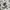 Gucci Luxury Short Pria white khaki photo 8