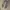 CONVERSE 70S HIGH SECOND 40 photo 4