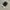 CONVERSE 70S HIGH SECOND 40 photo 3