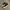 CONVERSE 70S HIGH SECOND 40 photo 2