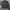 Stone island nylon overshirt photo 1