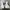 converse chuck Taylor All StarMove photo 1