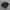 new balance 1906 photo 1