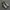 new balance 1906 photo 3