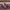 Rockport Burgundy Penny Loafers  photo 1
