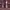 Rockport Burgundy Penny Loafers  photo 2
