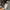 BABY GAP KIDS PUFFER DACRON JACKET | OUTERWEAR | JAKET ANAK  photo 4