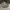 vans authentic style 44 dx anaheim factory size us 9 42 used photo 3