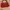 Versace red medium hand bag photo 2