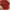 Versace red medium hand bag photo 5