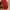 Versace red medium hand bag photo 7