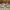 Adidas Yezzi Boost 350 V2.0 photo 2