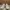 Adidas Yezzi Boost 350 V2.0 photo 3