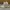 Adidas Yezzi Boost 350 V2.0 photo 1