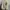 ASICS GT-2000 13 STANDARD photo 7