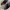 ASICS GT-2000 13 STANDARD photo 8