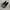 ASICS GT-2000 13 STANDARD photo 2