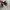 ASICS GT-2000 13 STANDARD photo 6