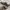ASICS GT-2000 13 STANDARD photo 5