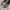 ASICS GT-2000 13 STANDARD photo 3